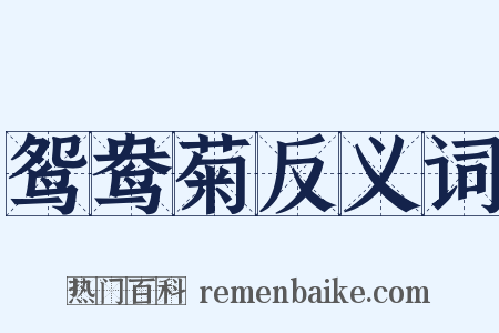 鸳鸯菊反义词是什么意思的图片